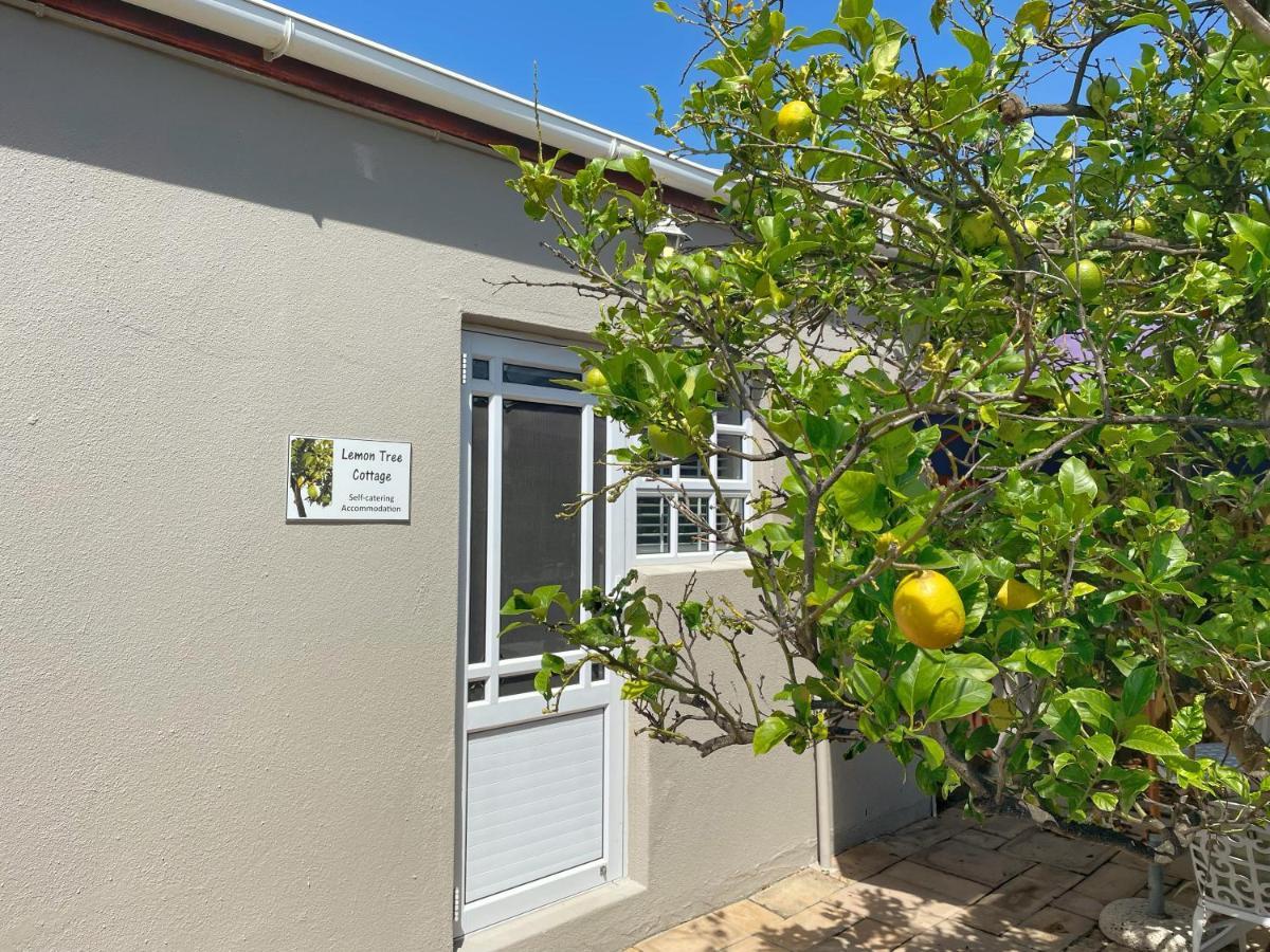 Lemon Tree Cottage Edgemead Εξωτερικό φωτογραφία